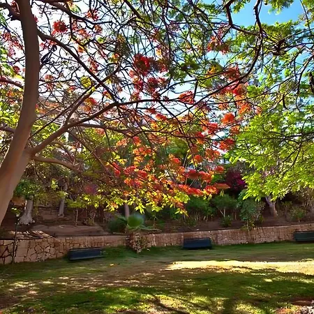 Americas Best-suite -ampio Con Vista, Giardino E Piscina Appartamento